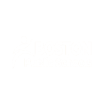 boston public schools